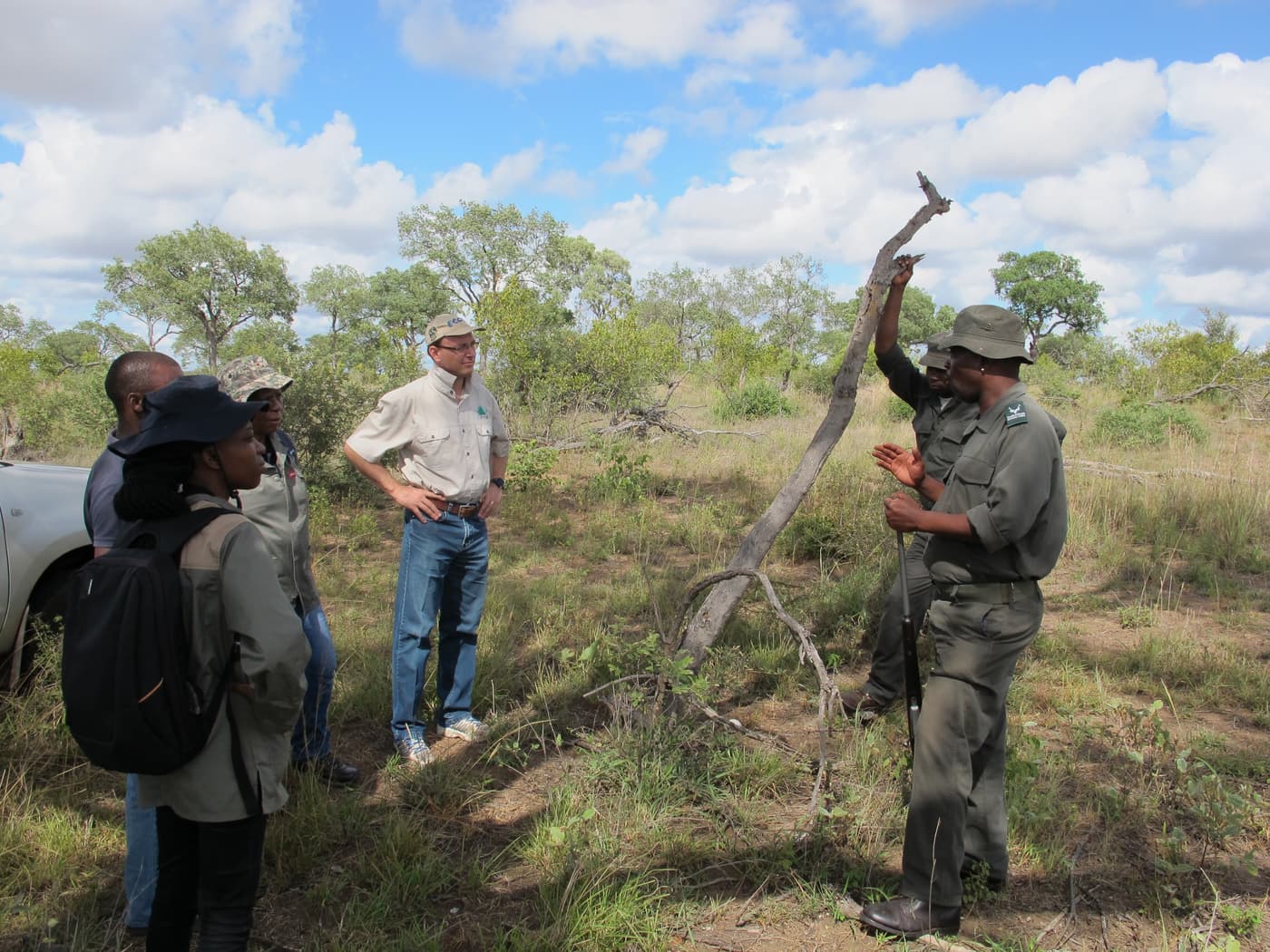 Hunting fungi in the Kruger National Park