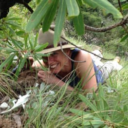 FABI Postdoc presents a seminar on the dangers of unregulated plant movement throughout history