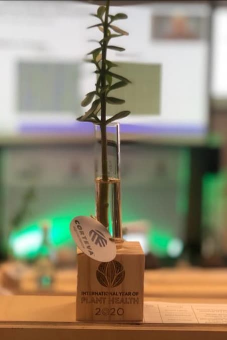 FABI students organise a half-day student symposium at SAPBA 2020 symposium funded by Corteva