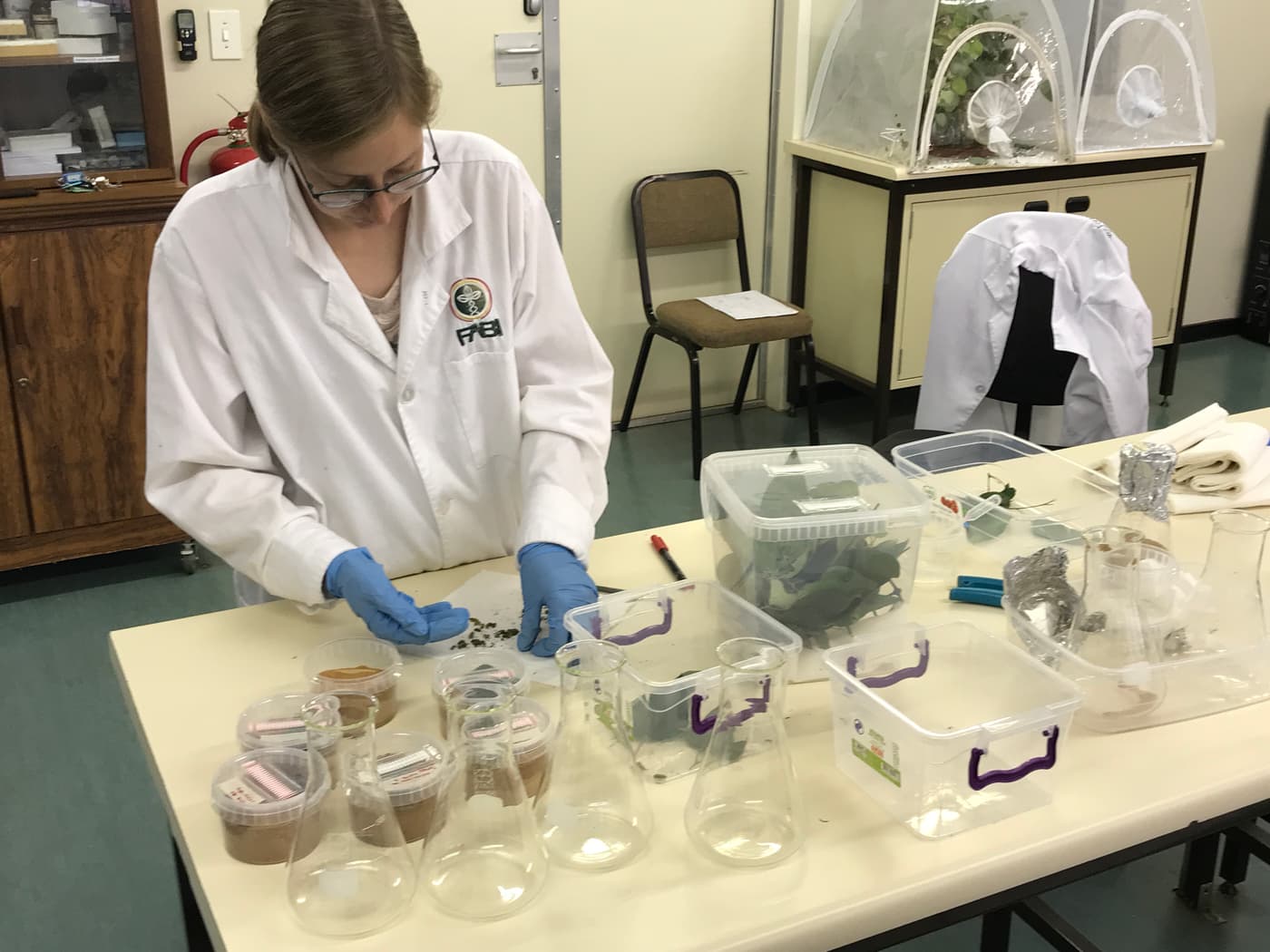 Keeping the TPCP biocontrol research programme alive (literally) during lockdown