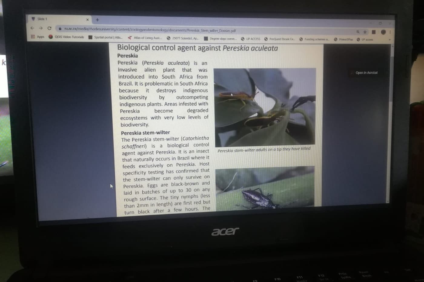 FABI Journal Clubs continue during lockdown